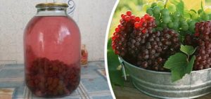 Виноград консервований на зиму в домашніх умовах (рецепти)