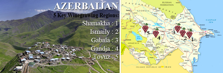 Азербайджанські вина — назви, історія, характеристика