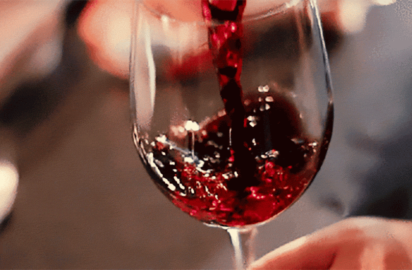 Вино сорту Мерло — які вина випускаються під цією маркою
