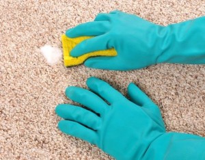 Як почистити килим: способи і засоби (відео)