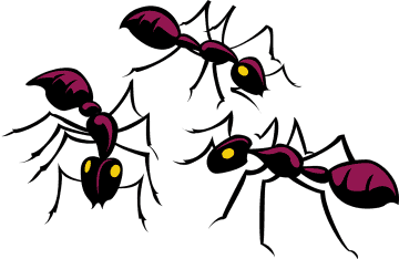 До чого сняться мурахи у великій кількості або мурашник: тлумачення сновидіння різними сониками