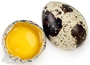 Перепелині яйця користь та шкоду як приймати
