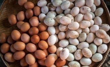 До чого сняться яйця курячі, багато: тлумачення найпопулярніших сонників