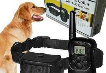 Радиоошейник для собак — потрібний помічник для дресирування