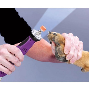 Як правильно стригти кігті собаці в домашніх умовах ножицями?