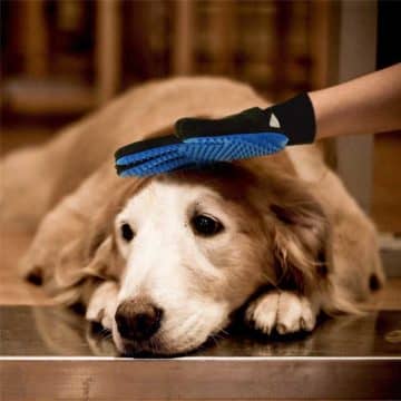 Рукавичка для вичісування шерсті з собаки