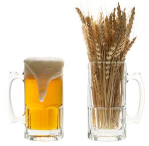 Пшеничне пиво в домашніх умовах: рецепти варіння