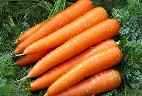 Як підгодовувати морква нашатирним спиртом і можна
