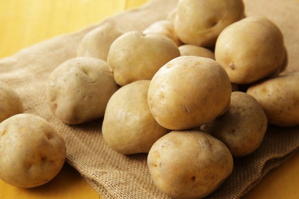 Опис сорту картоплі Лілея, особливості вирощування та догляду