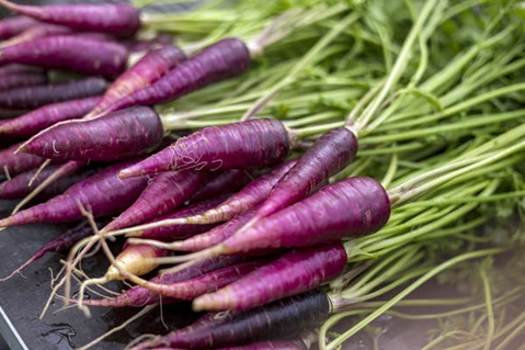 Корисні властивості, опис і особливості вирощування моркви Фіолетовою