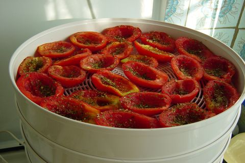 Рецепт приготування вялених помідорів на зиму в сушарці для овочів