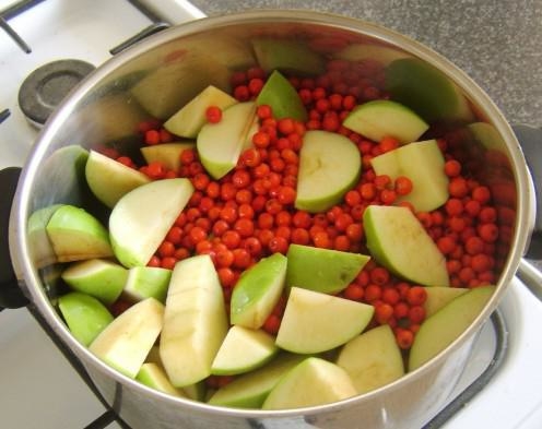 Як приготувати компот з горобини на зиму: прості рецепти з червоною і чорною ягодою