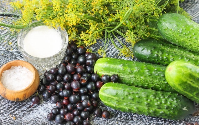 Як солити огірки на зиму — перевірені та смачні рецепти