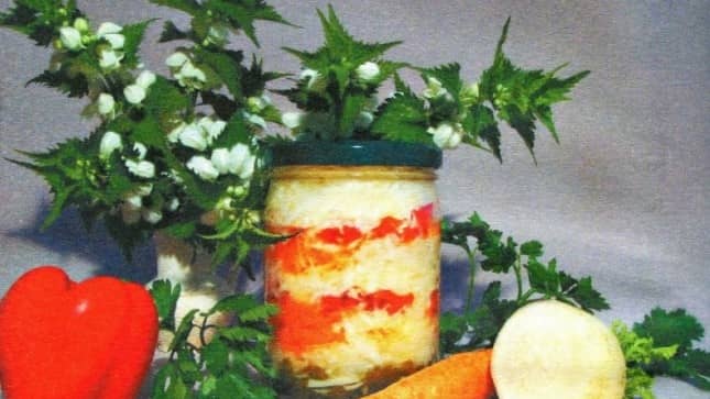 Заготівля з редьки на зиму – смачні рецепти салатів та засолок