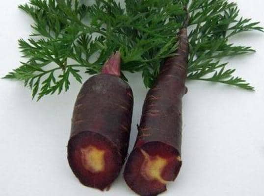 Чорна морква — корисна екзотика на городі