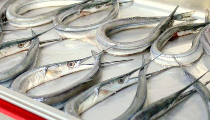 Копчена риба голка: гарячий і холодний рецепти, поради майстра
