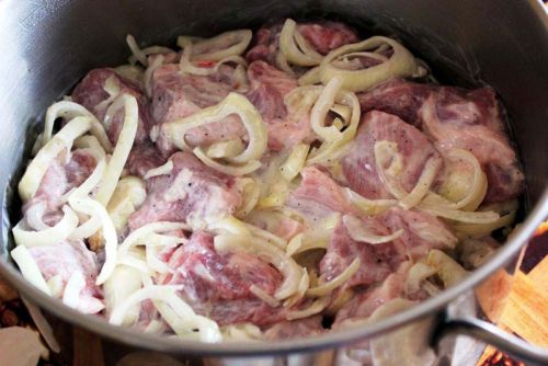 Як маринувати шашлик з свинини: способи смачно замаринувати мясо, рецепти, скільки замочувати