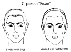 Стрижка їжачок чоловіча і жіноча: коротка зачіска, переваги і недоліки, техніка виконання