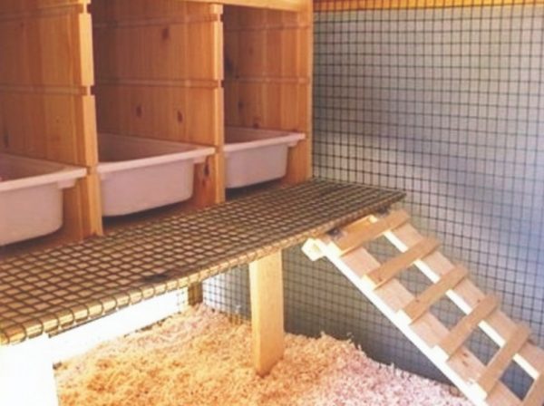 Як побудувати будиночок для качки своїми руками: конструкції і покрокова інструкція