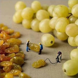 Родзинки з білого винограду виходить в процесі сушіння: як висушити в домашніх умовах