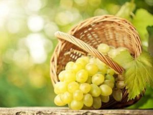 Підживлення винограду влітку   чим удобрювати