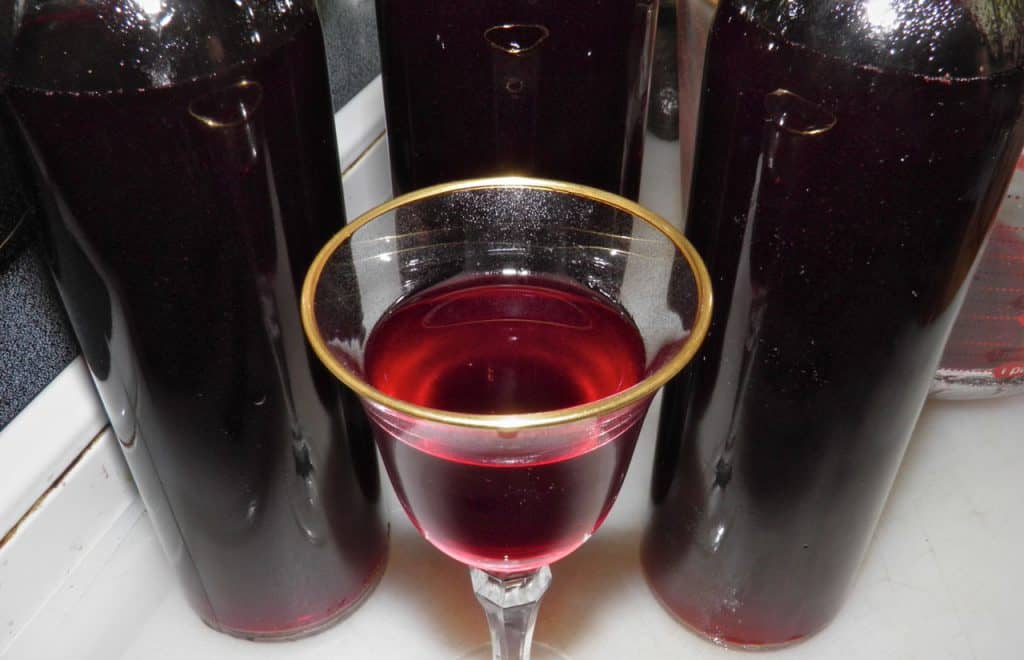 Як приготувати сливове вино в домашніх умовах