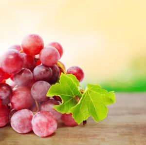 Виноград Лідія: опис сорту, догляд та вирощування, відгуки
