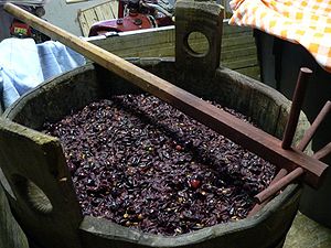 Технологія приготування вина — виробничі питання