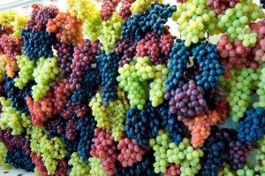 Варення з винограду ізабелла на зиму покроковий рецепт з кісточками