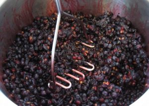 Брага з винограду для самогону без дріжджів: рецепт з віджимань і макухи