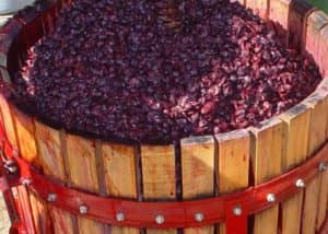 Брага з винограду для самогону без дріжджів: рецепт з віджимань і макухи