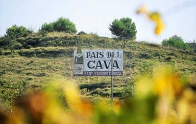 Cava — самобутнє ігристе іспанське шампанське