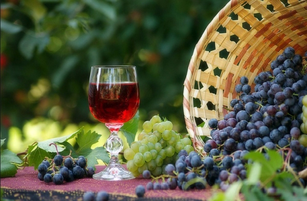 Вино з винограду Ізабелла в домашніх умовах