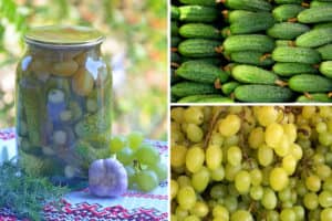 Огірки з виноградом на зиму: рецепти маринування з листям