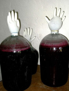 Домашнє вино з винограду ізабелла простий рецепт як зробити в домашніх умовах