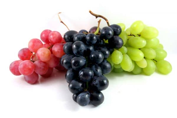Вино з винограду в домашніх умовах