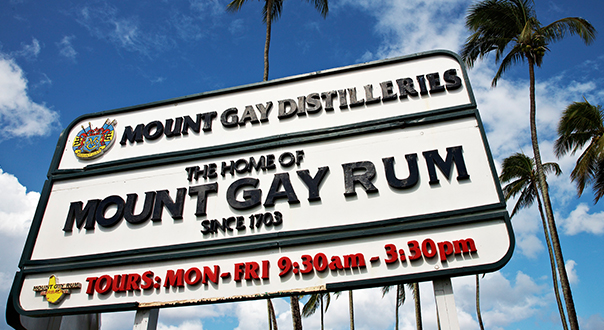 Mount gay rum — історія, сорти, вживання