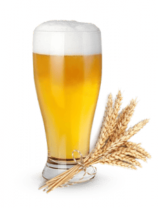 Класифікація пива по сировині — з чого роблять пиво в наш час