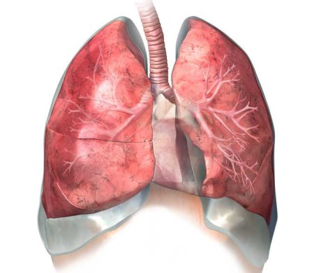 Діагностика і лікування атеросклерозу аорти легенів