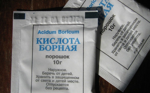 Борна кислота від тарганів: рецепти засобів для боротьби