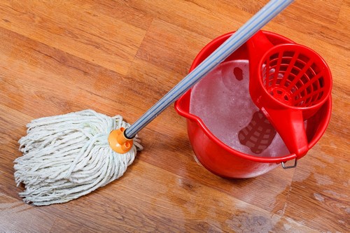 Швабра для миття підлоги: як вибрати кращу