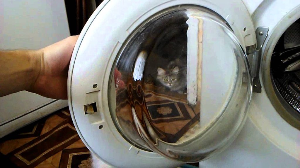 Як замінити ручку на дверях пральної машини самостійно