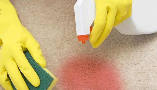 Як почистити килим содою: підготовка, техніка