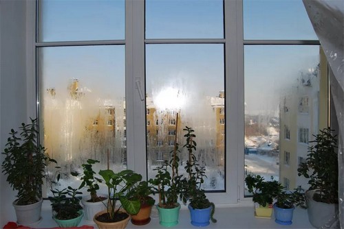 Потіють пластикові вікна в квартирі: чому і що робити?