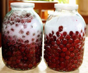 Самогон на вишні: рецепт, вишневі настоянки в домашніх умовах, як настояти міцний алкоголь на вишневій ягоді