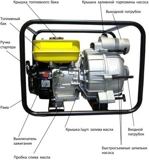 Бензинові мотопомпи — види, особливості, пристрій