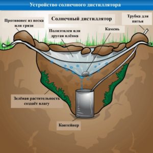 Як добути воду в лісі   все спосбы видобутку води описані у нас в статті