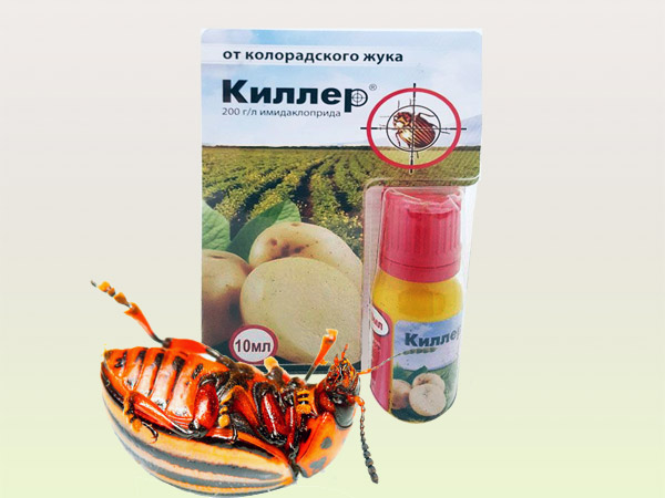 Інструкція по застосуванню препарату Кілер від колорадського жука