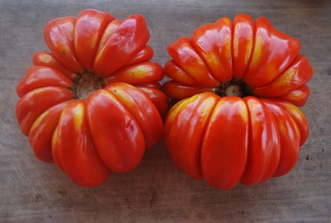Характеристики і опис сорти томата Рим, його врожайність