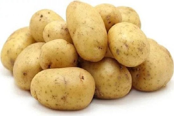 Кращі ранні і ультраранние сорти картоплі для посадки в Білорусі та їх опис